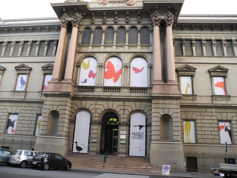  Museo di Storia Naturale G. Doria, i laboratori per le famiglie di marzo  