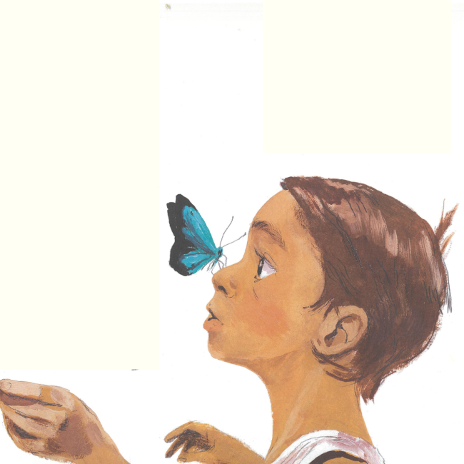 Bambino con farfalla sul naso
