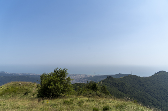 Terrazza panoramica - Strada dei Forti