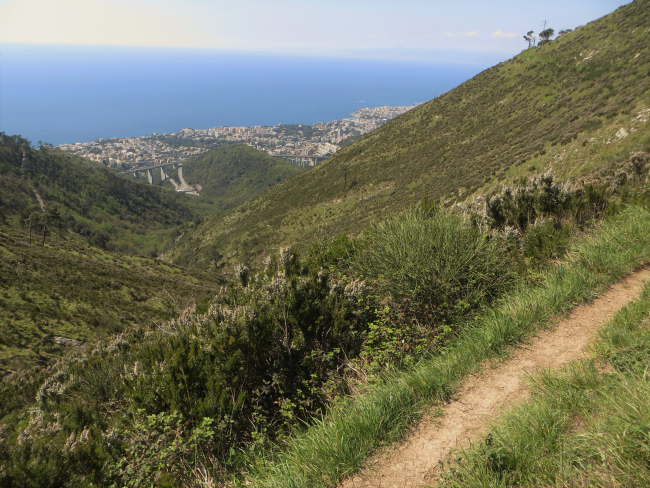 Apparizione - Monte Borriga – Corso Europa