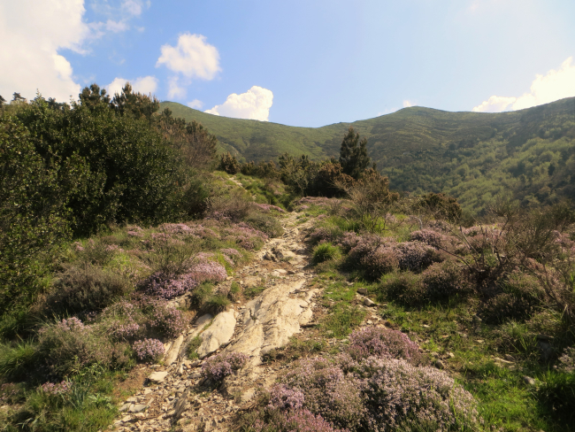 Apparizione - Monte Borriga – Corso Europa