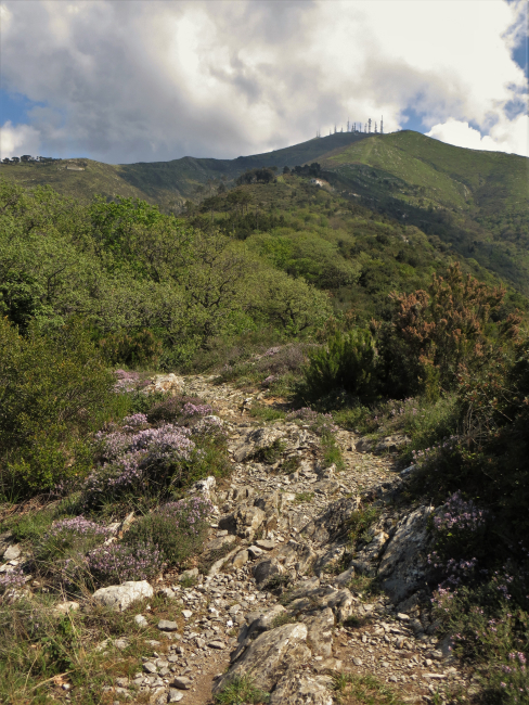 Apparizione - Monte Borriga – Corso Europa