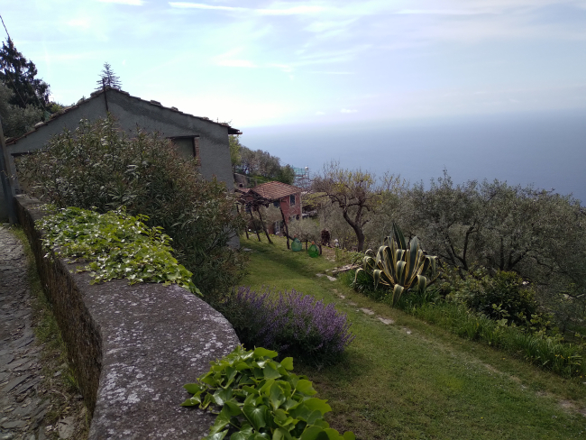 Capolungo – Sant’Ilario - Monte Giugo – Nervi