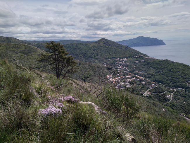 Capolungo – Sant’Ilario - Monte Giugo – Nervi