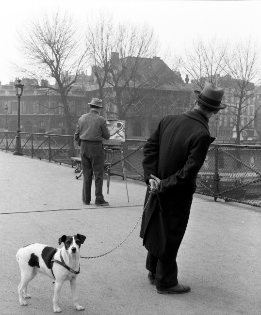 Fox terrier au pont des Arts, 1953