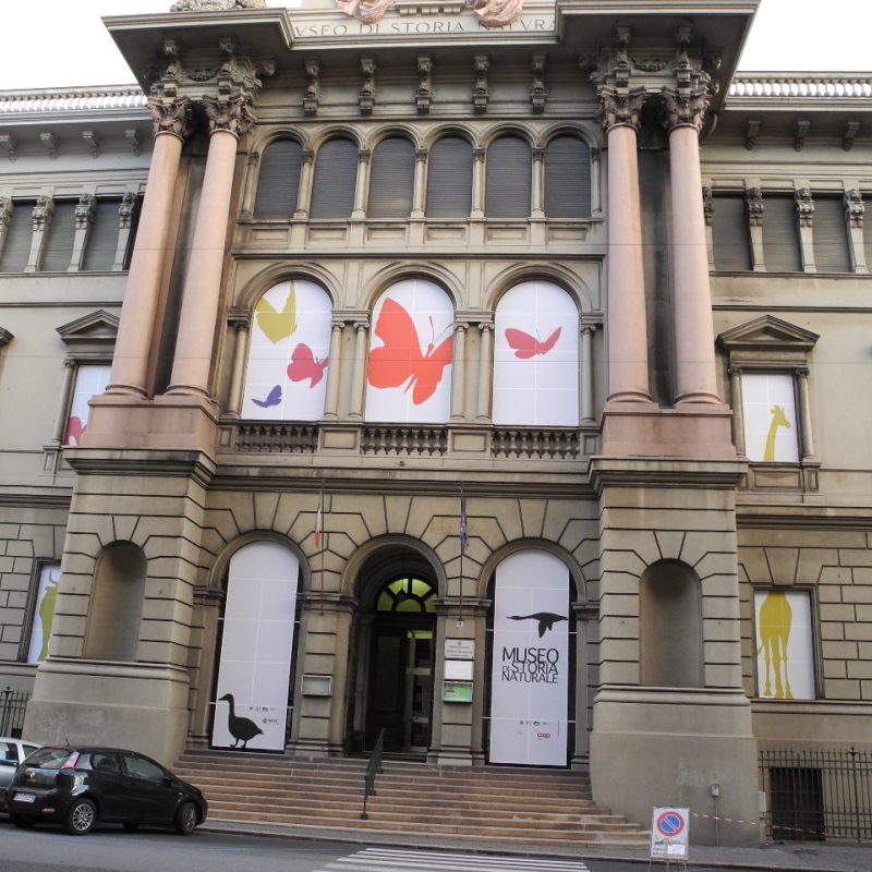 Museo Doria. I laboratori per bambini di febbraio  